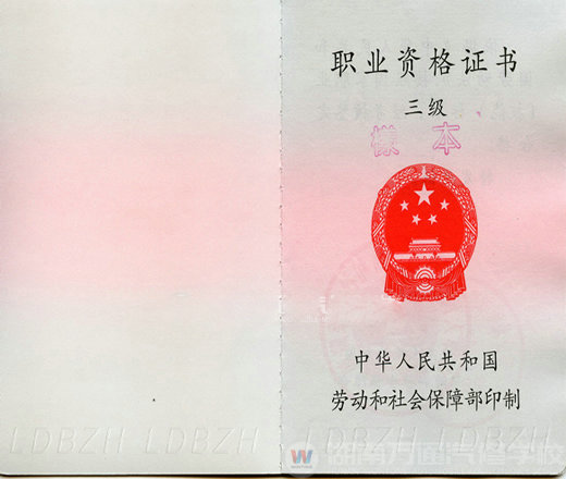 湖南萬通汽車學校，職業資格證書三級