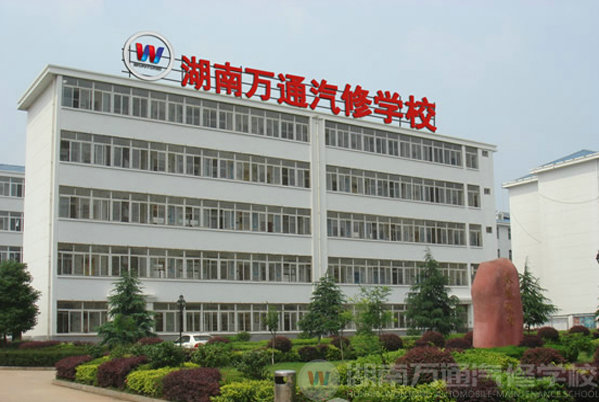 網(wǎng)易：如何挑選一所稱心如意的學(xué)校？