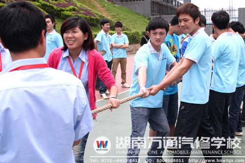 陳鳳嬌老師組織學生活動
