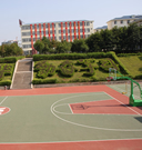 學校標準籃球場