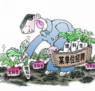 填志愿指南：文科生報什么專業(yè)才能“畢業(yè)不失業(yè)”？