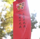 鬧元宵，猜燈謎，萬通元宵喜樂會