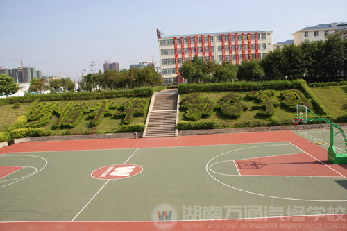 湖南萬通汽修學校，標準籃球場