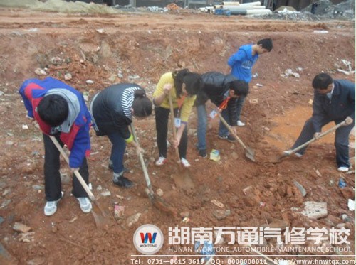 黨員一起在操場勞動