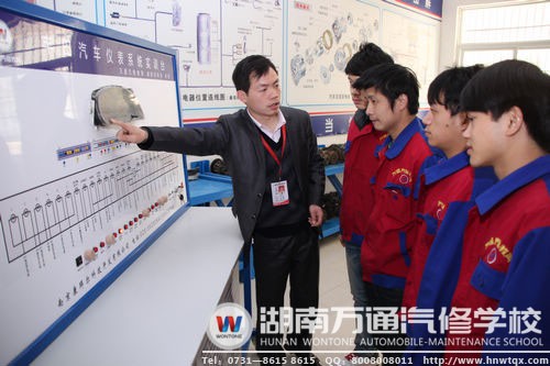 實踐能力強，才能在職業發展道路上贏得成功