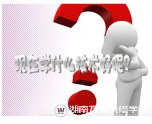 競爭激烈，男生學啥技術好呢？