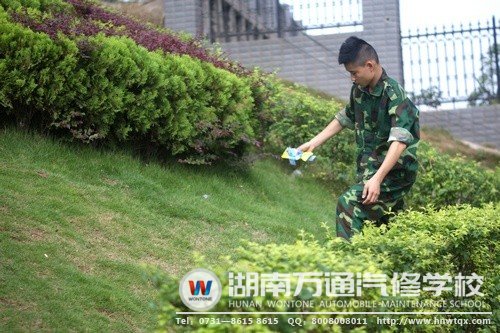 在片刻的歇息時間里，帥哥新生不是坐著休息，而是拾起了飄到草叢中的垃圾