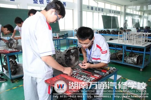 湖南萬通為學子提供多種實踐機會，讓他們在畢業后適應企業需求