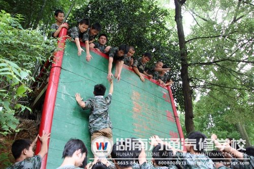 素質拓展訓練——全面提升學生綜合能力