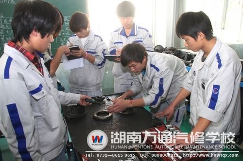 學子們實踐中