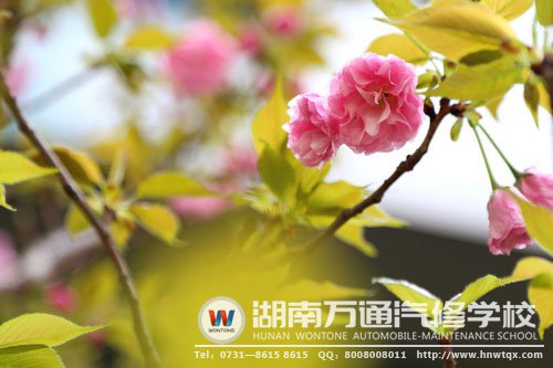 美，處處都有