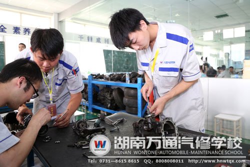 理論實踐課中張升超和同學們分工合作