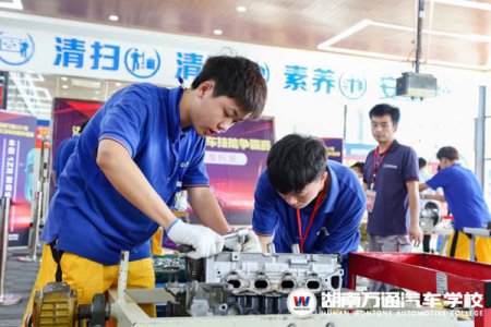 測試一下,看你適不適合學技術