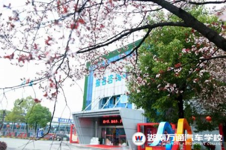 你的『偏見』可能會耽誤孩子的未來！