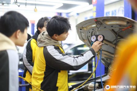 2025春季報名持續火爆!他們為何選擇湖南萬通?